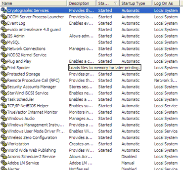 My XP enabled services